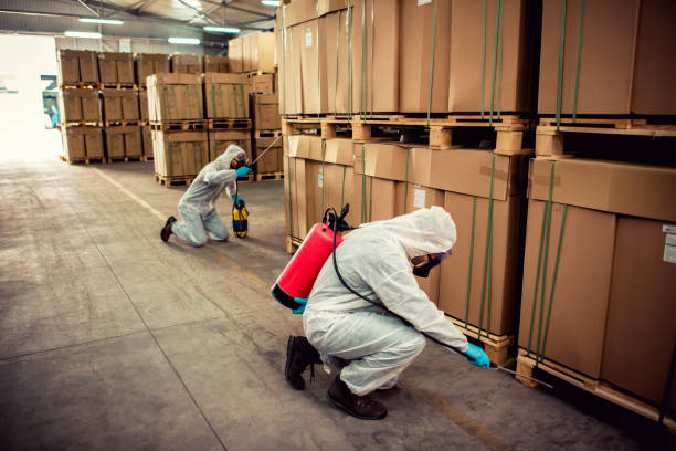 Best Pest Prevention Services  in Ada, MN