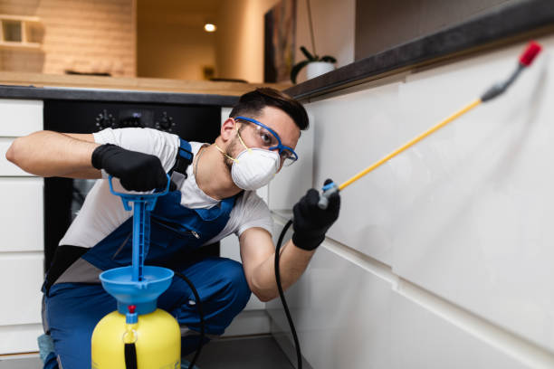 Best Pest Control for Restaurants  in Ada, MN