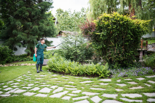 Best Pest Removal Services  in Ada, MN
