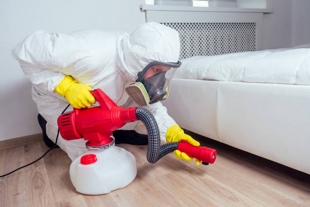 Best Wasp Removal Services  in Ada, MN