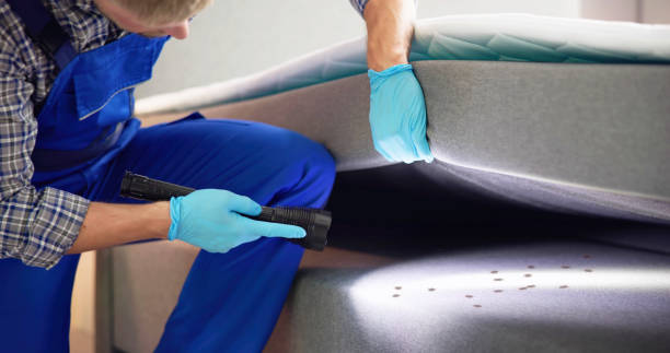 Best Flea Control Services  in Ada, MN