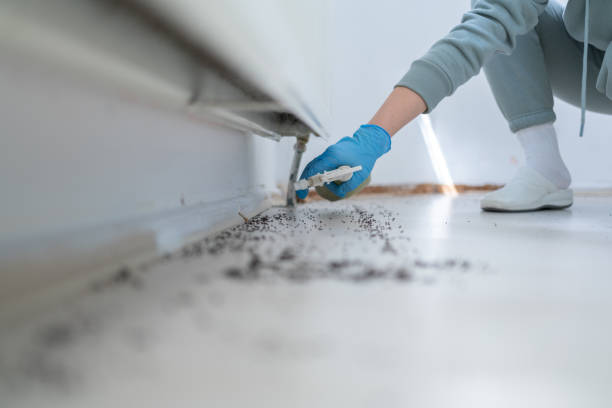 Best Cockroach Control Services  in Ada, MN
