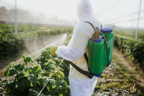 Best Pest Inspection Near Me  in Ada, MN